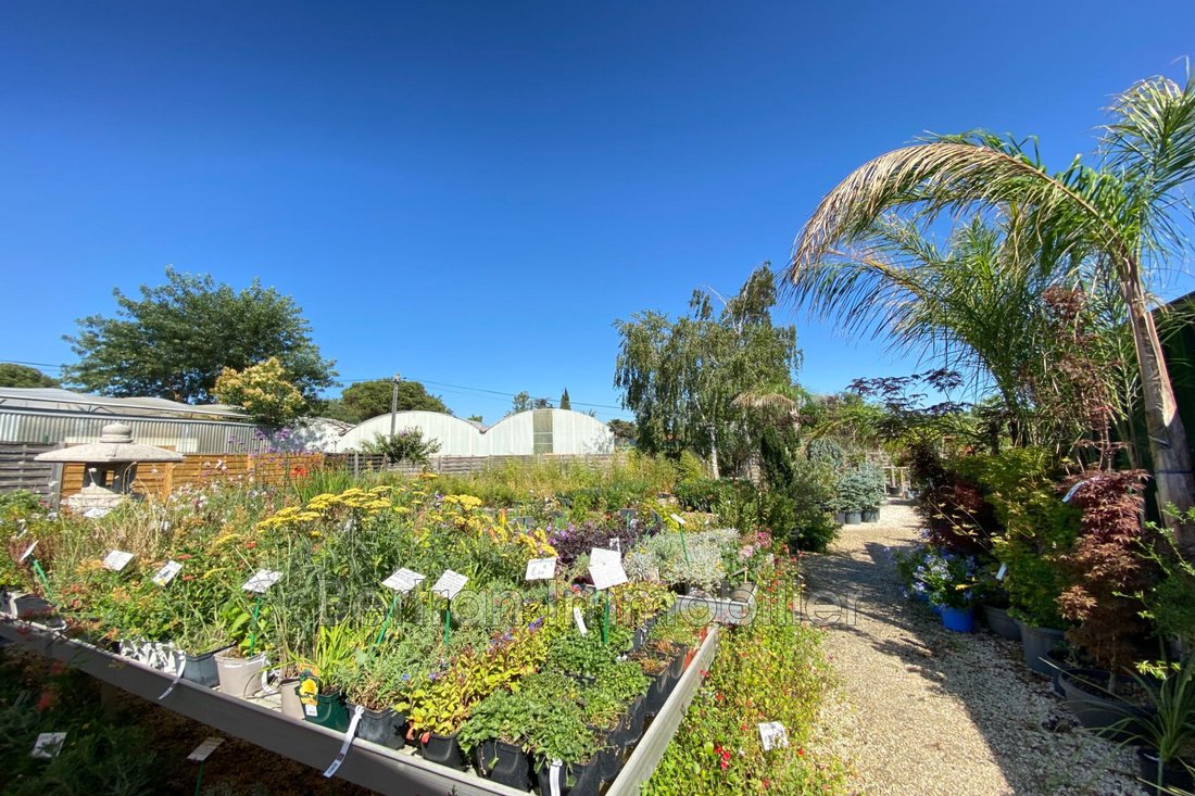 Villa in Argelès-sur-Mer, Occitania, France 3 - 13015902