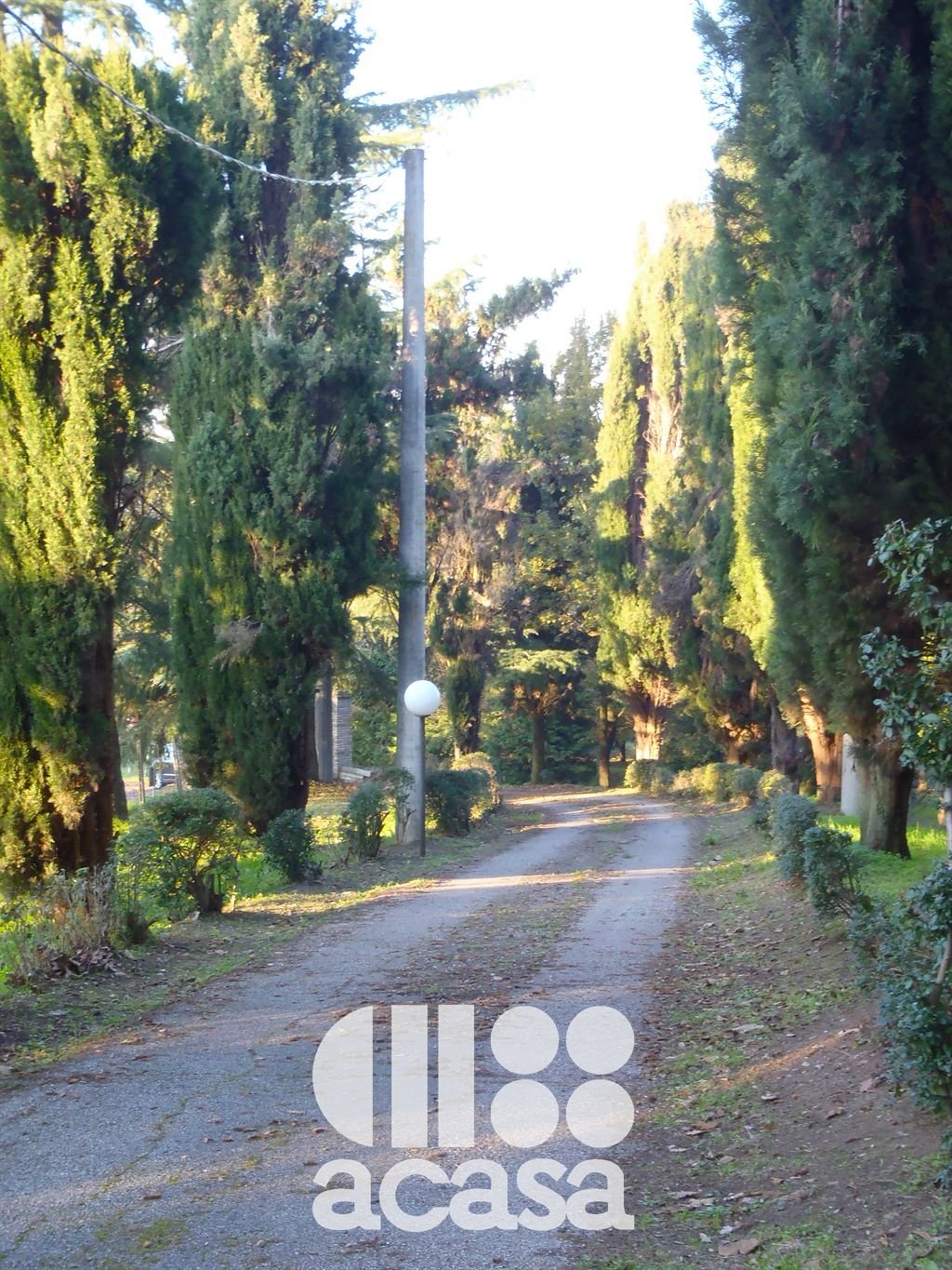 Country House in Monte - Ponte Abbadesse Zone, Cesena, Emilia-Romagna 3 - 13021777