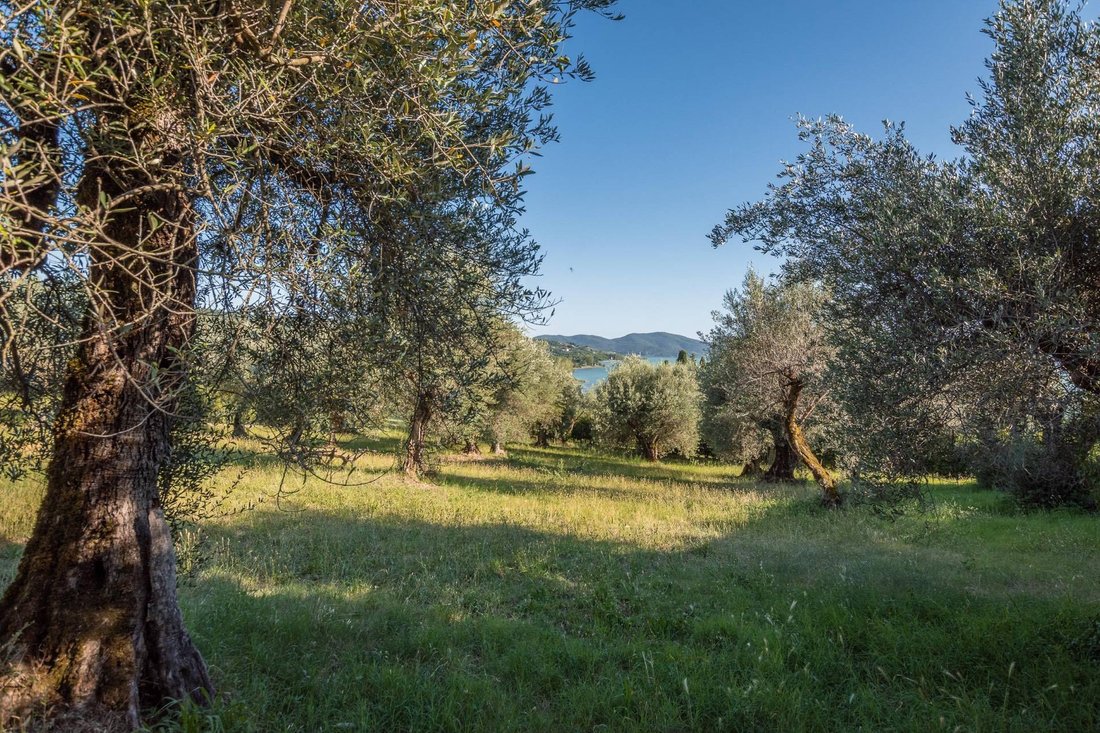 Villa en Monte del Lago, Umbría, Italia 1 - 11760136
