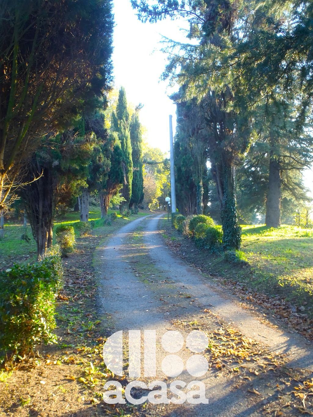Country House in Monte - Ponte Abbadesse Zone, Cesena, Emilia-Romagna 2 - 13021777