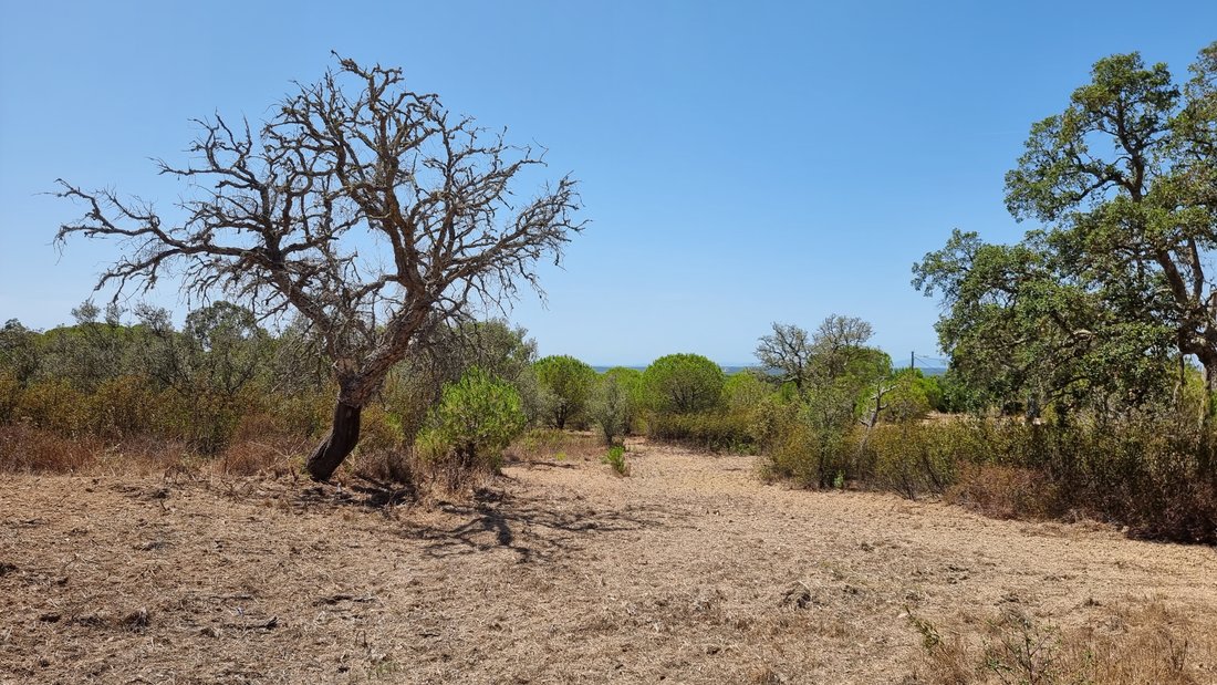 Land in Melides, Setubal, Portugal 1 - 13024467