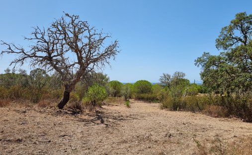 Terreno a Melides, Setúbal Municipality, Portogallo 1