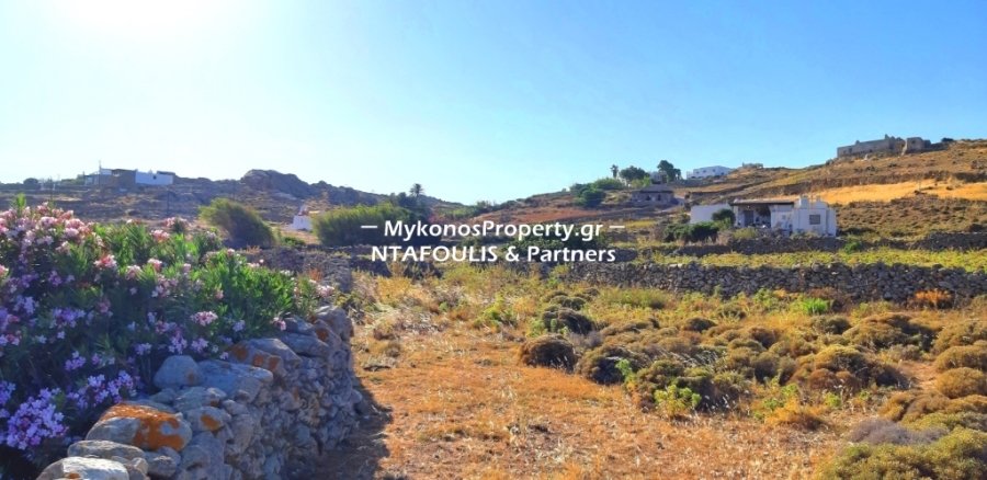 Mykonos, Aegean, Greece 3 - 13027721