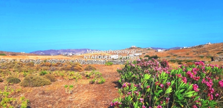 Mykonos, Aegean, Greece 5 - 13027721