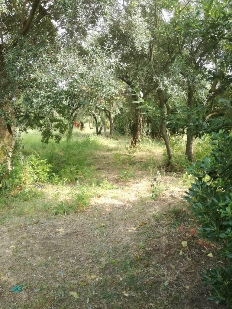 Townhouse in Quercioli - Rinchiostra, Massa, Tuscany 4 - 13028091