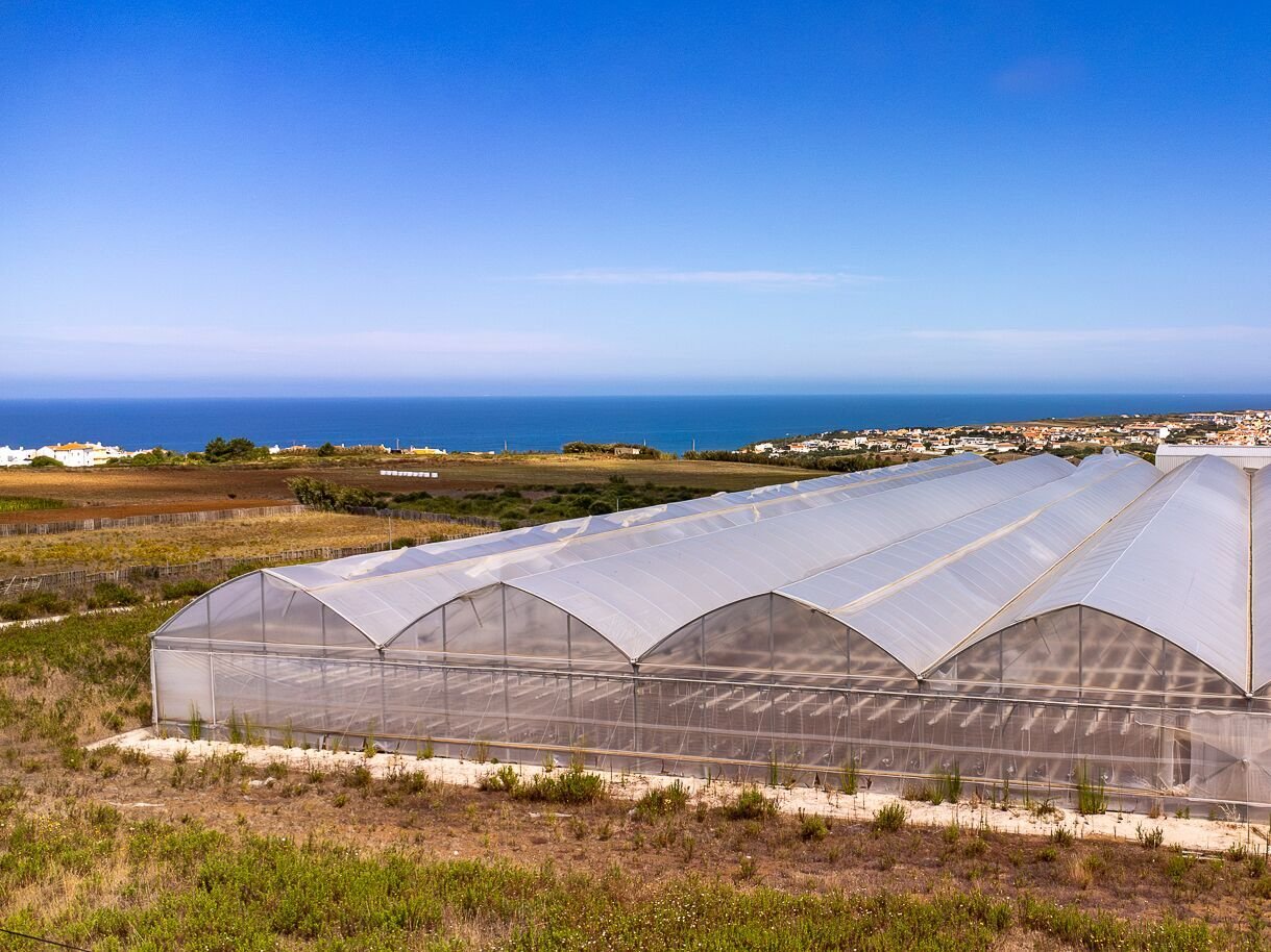 Land for sale in Mafra, Portugal — €1,600,000