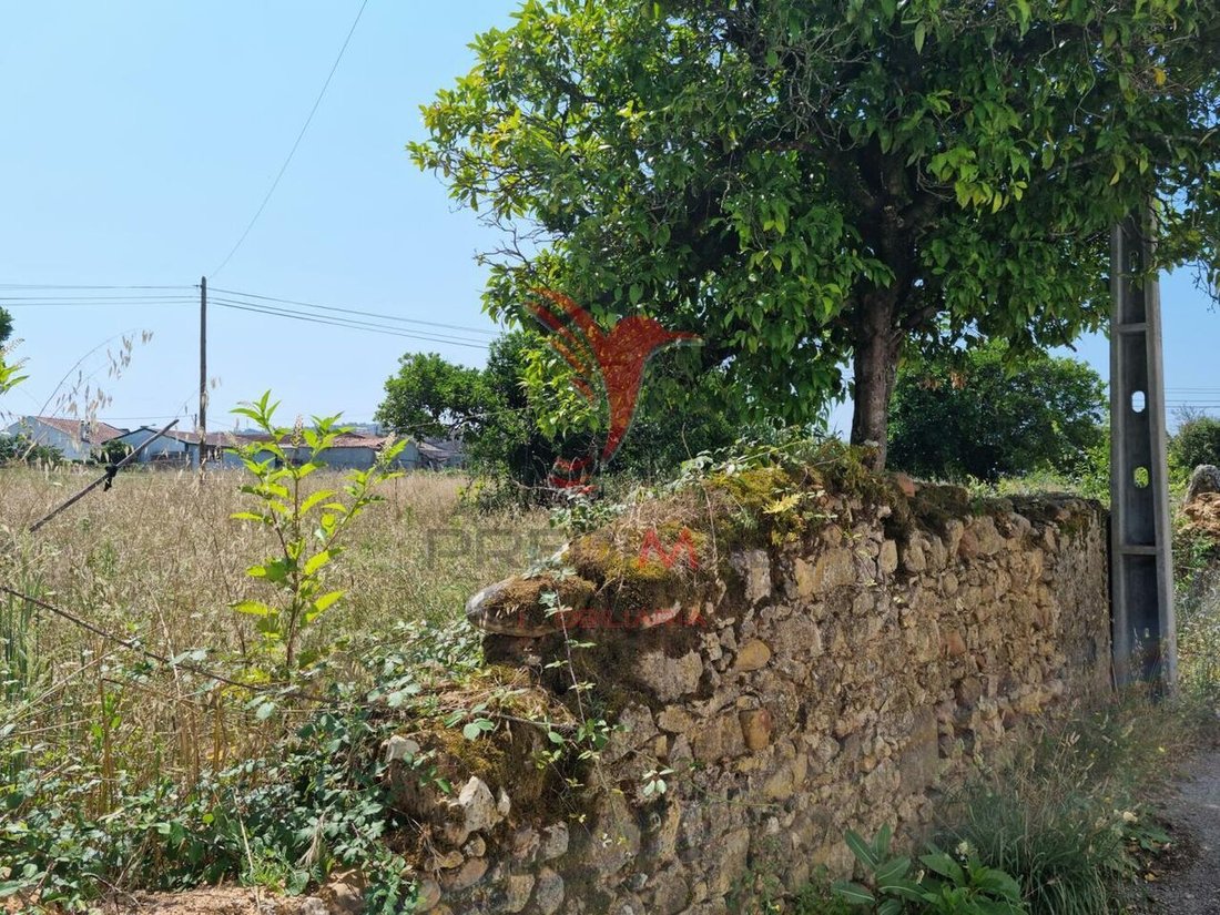 Land in Sao Martinho do Bispo e Ribeira de Frades, Coimbra District, Portugal 5 - 13028526