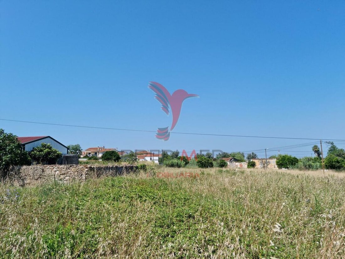 Land in Sao Martinho do Bispo e Ribeira de Frades, Coimbra District, Portugal 1 - 13028526