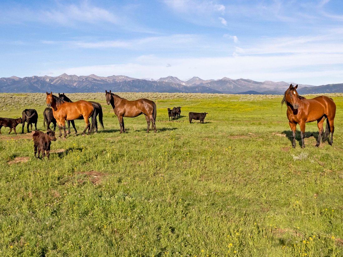 Farm Ranch in Wilsall, Montana, United States 1 - 12978634