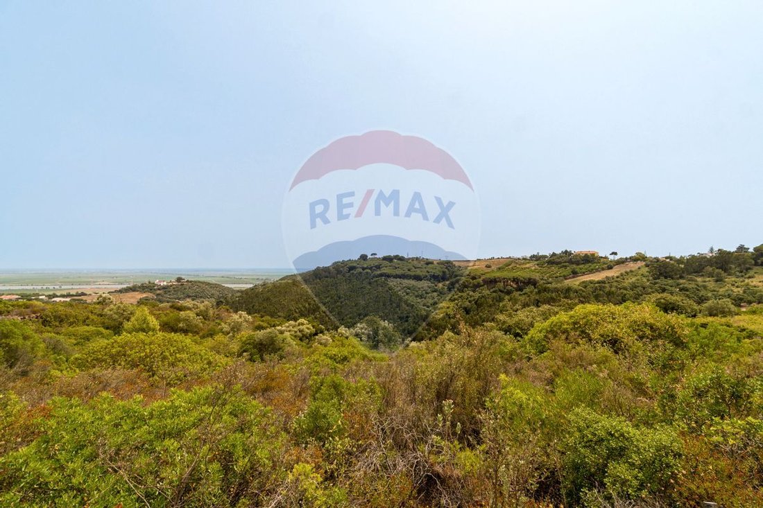 Finca en Vila Franca de Xira, Distrito de Lisboa, Portugal 4 - 13034399