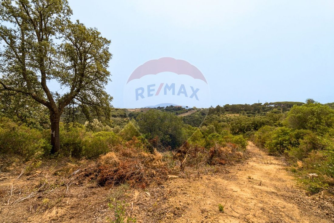 Finca en Vila Franca de Xira, Distrito de Lisboa, Portugal 5 - 13034399