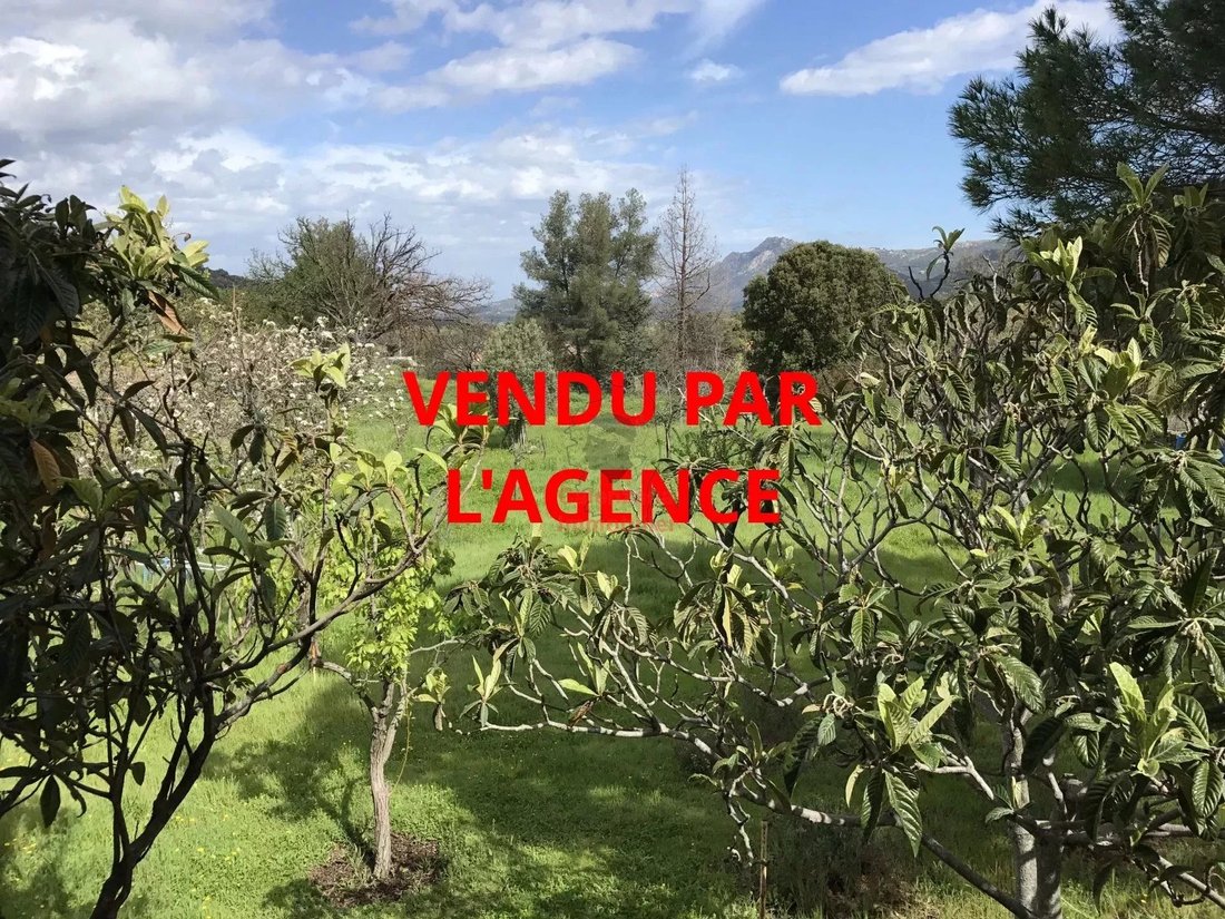 Calenzana House In Calvi, Corsica, France For Sale (13036052)