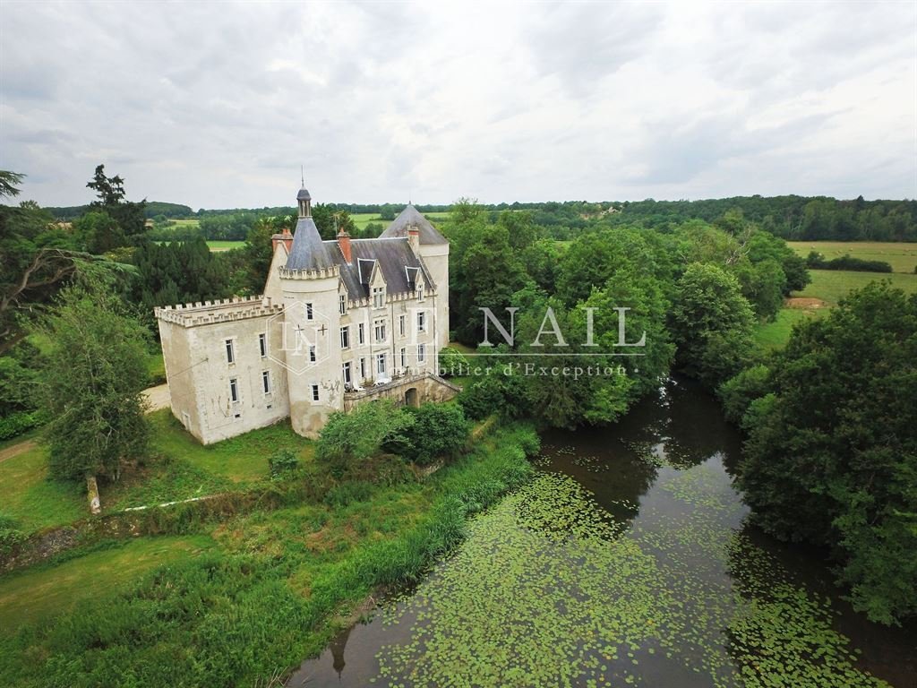 12th C. Chateau Restored In The 19th In Le Blanc, Centre Val De Loire