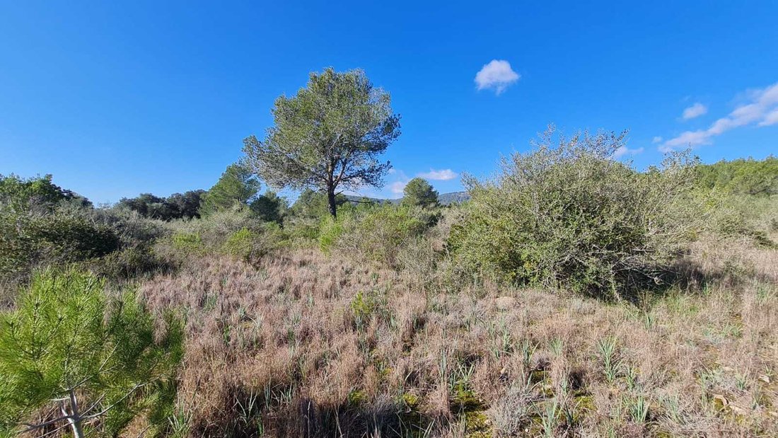 Land in sa Pobla, Balearic Islands, Spain 5 - 13039178