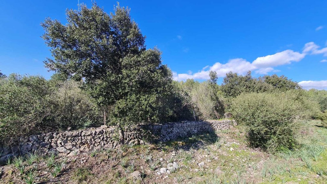 Land in sa Pobla, Balearic Islands, Spain 3 - 13039178