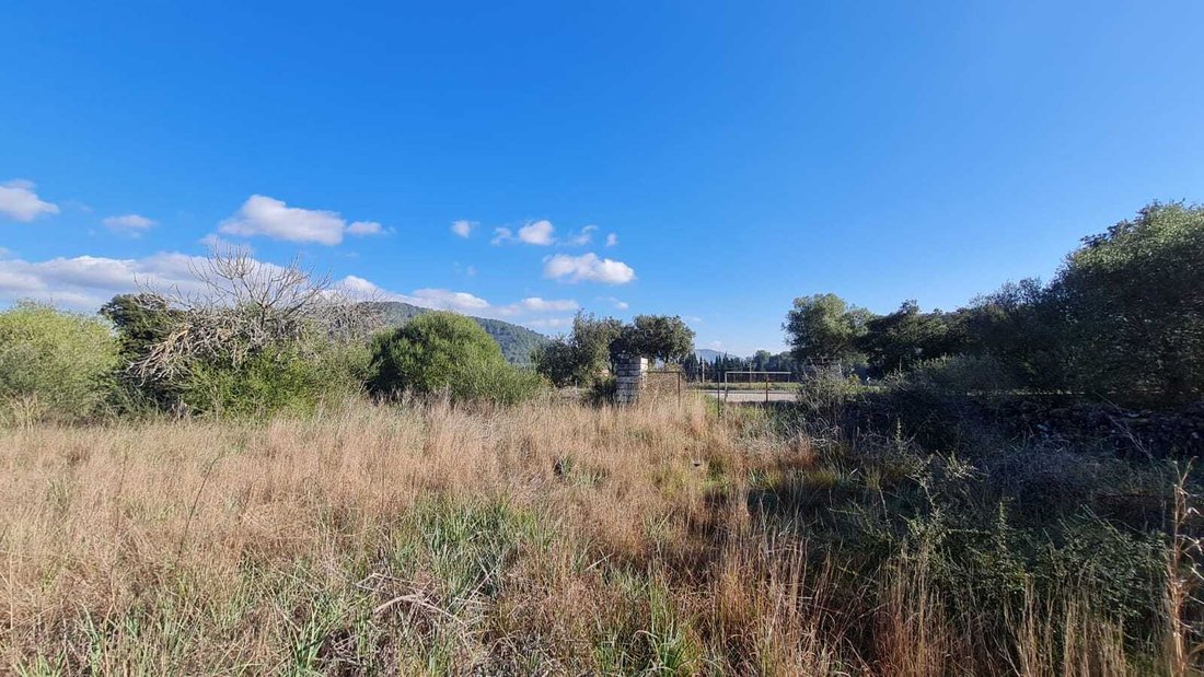 Land in sa Pobla, Balearic Islands, Spain 4 - 13039178