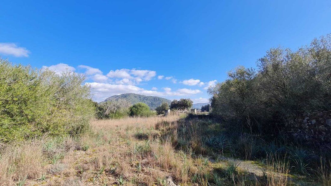 Land in sa Pobla, Balearic Islands, Spain 1 - 13039178