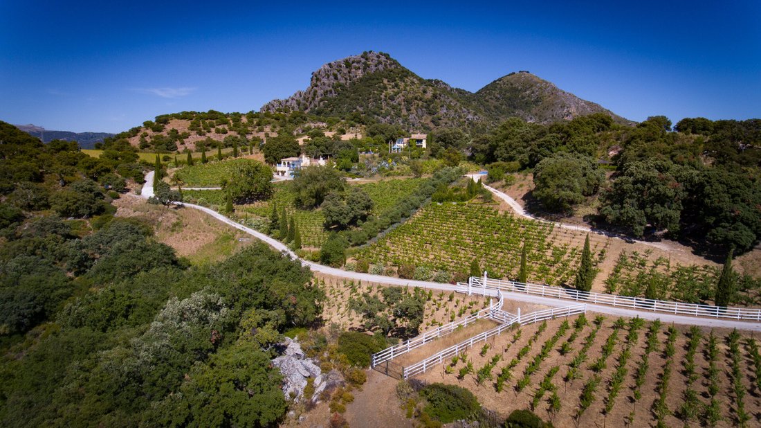Estate in Gaucin, Andalusia, Spain 4 - 13039575