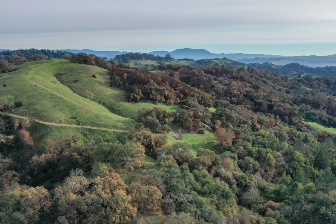 Land in Healdsburg, California, United States 5 - 13041152