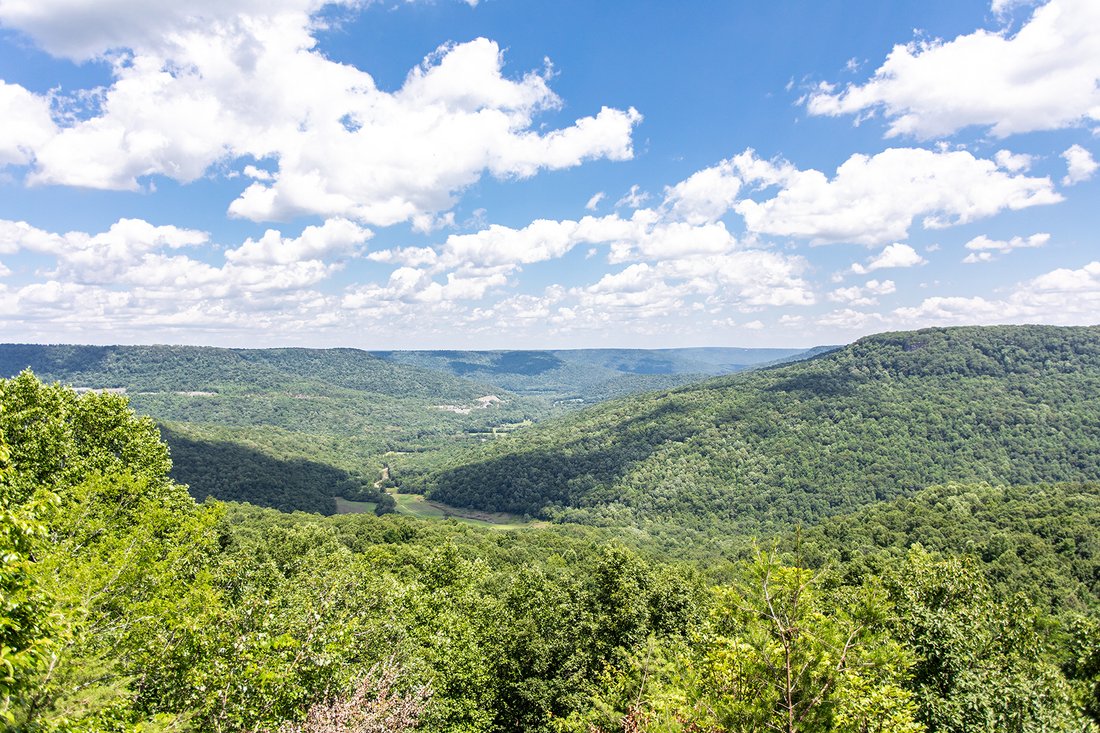 2336 Clifftops Ave, Monteagle, Tn, 37356 In Monteagle, Tennessee