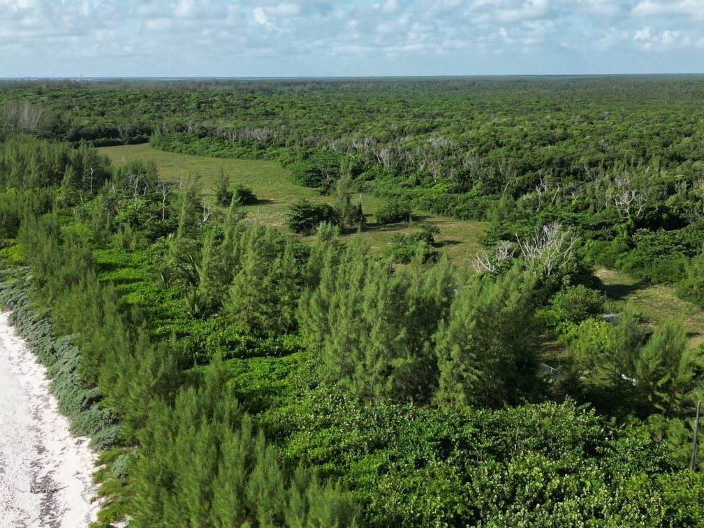 Andros Beach Front Acreage In Nicholls Town, North Andros, The Bahamas ...