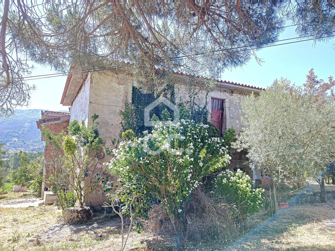 Farm Ranch in Santa Maria Maior, Vila Real District, Portugal 1 - 11090337
