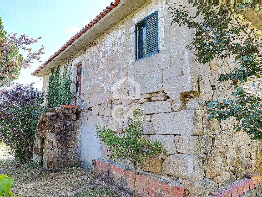 Farm Ranch in Santa Maria Maior, Vila Real District, Portugal 5 - 11090337