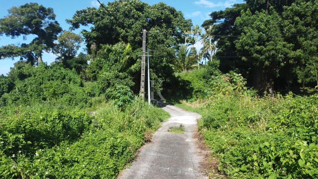 Saint Claude Land In Basse Terre, Guadeloupe For Sale (12397006)