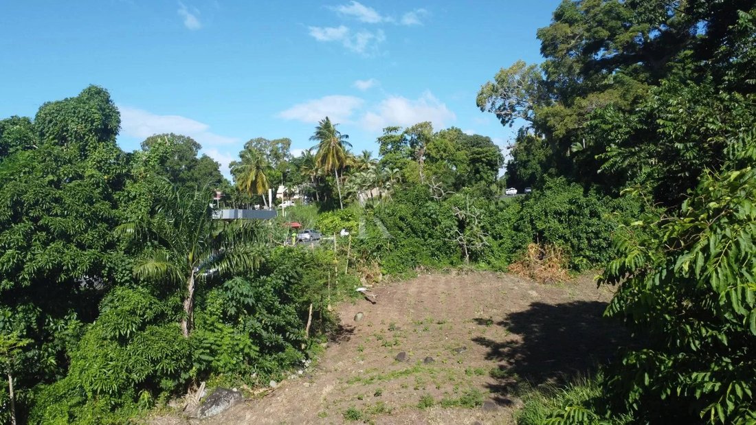 Saint Claude Land In Basse Terre, Guadeloupe For Sale (12397006)