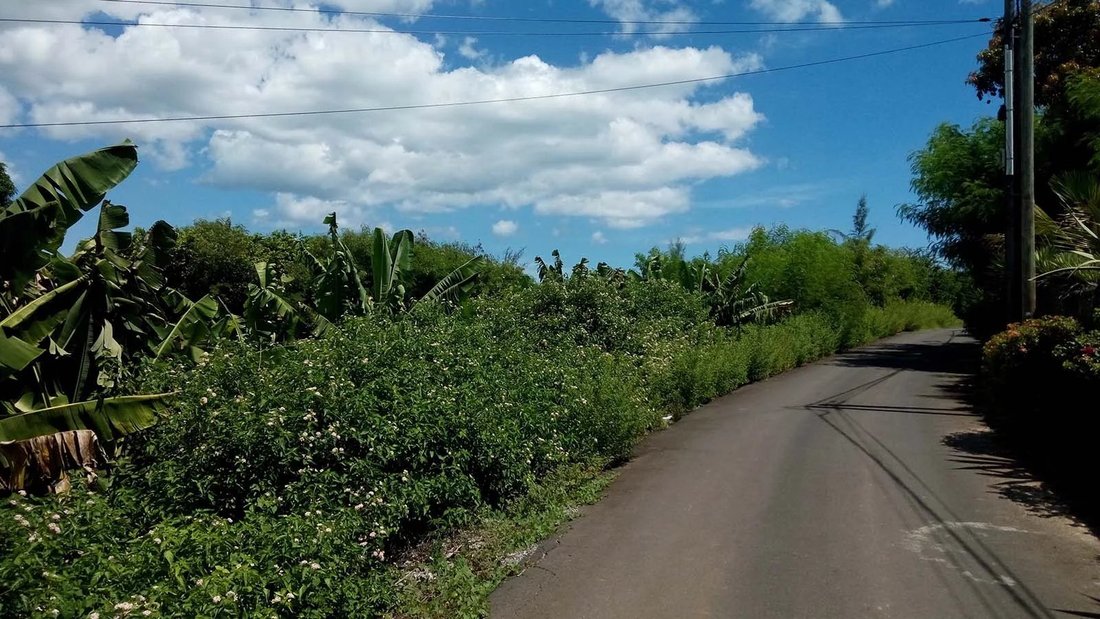 Land, Melville In Grand Gaube, Rivière Du Rempart District, Mauritius
