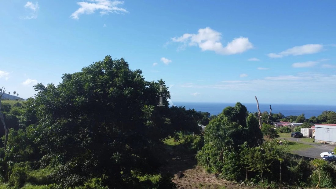 Saint Claude Land In Basse Terre, Guadeloupe For Sale (12397006)