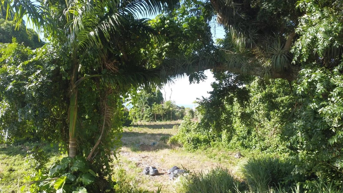 Saint Claude Land In Basse Terre, Guadeloupe For Sale (12397006)