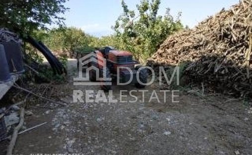 Land in Thermopylae Community, Lamia, Griechenland 1