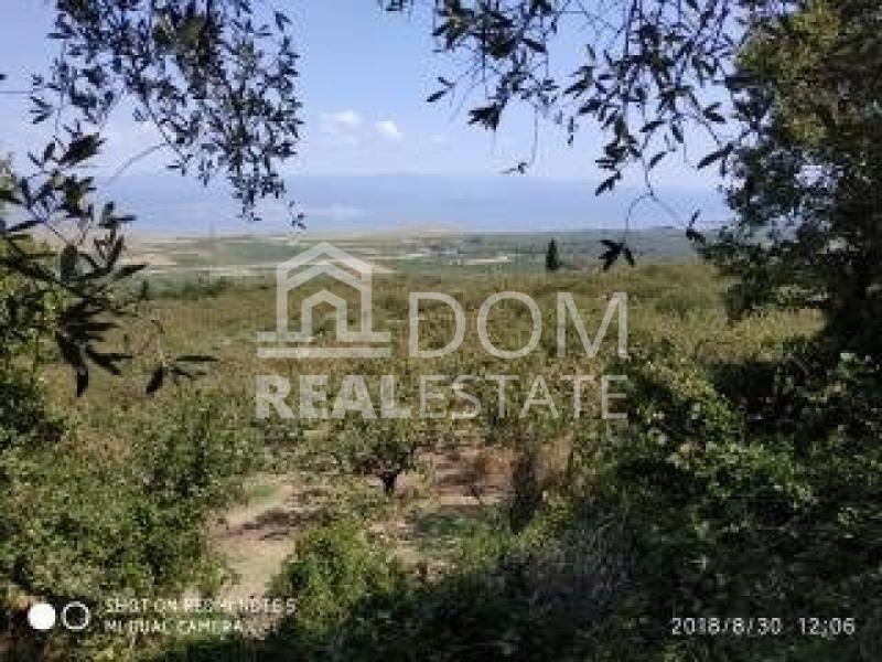 Land in Thermopylae Community, Lamia, Greece 2 - 13050658