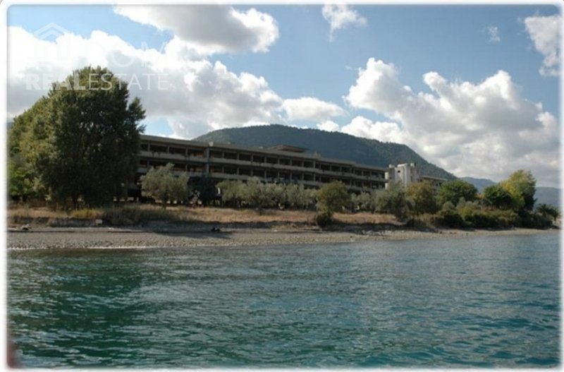Koinotita Arkitsas, Dafnousia, Greece 2 - 13051263