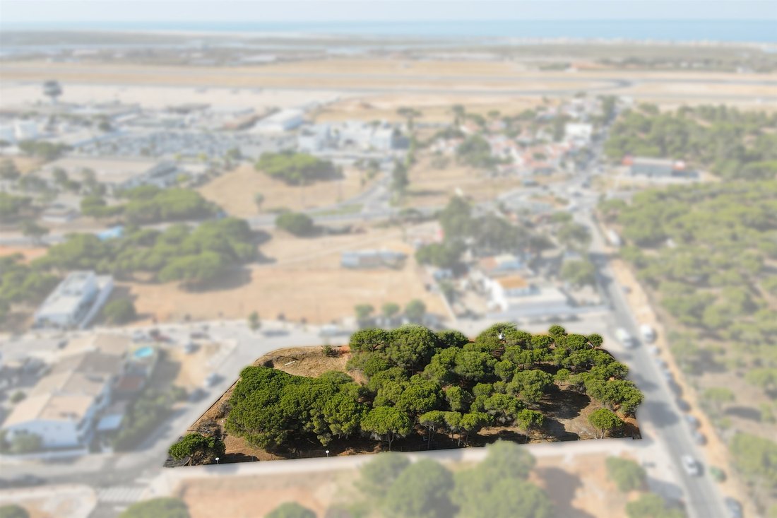 Land in Faro (Se e Sao Pedro), Algarve, Portugal 3 - 13055681