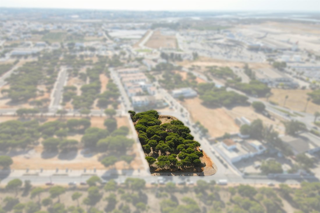 Land in Faro (Se e Sao Pedro), Algarve, Portugal 1 - 13055681