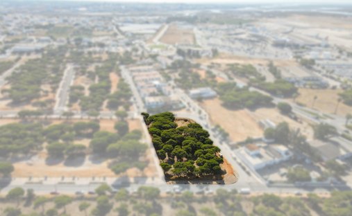 Land in Faro (Se e Sao Pedro), Algarve, Portugal 1