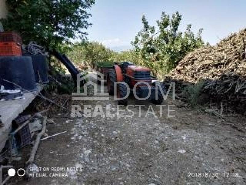 Land in Thermopylae Community, Lamia, Greece 5 - 13050658