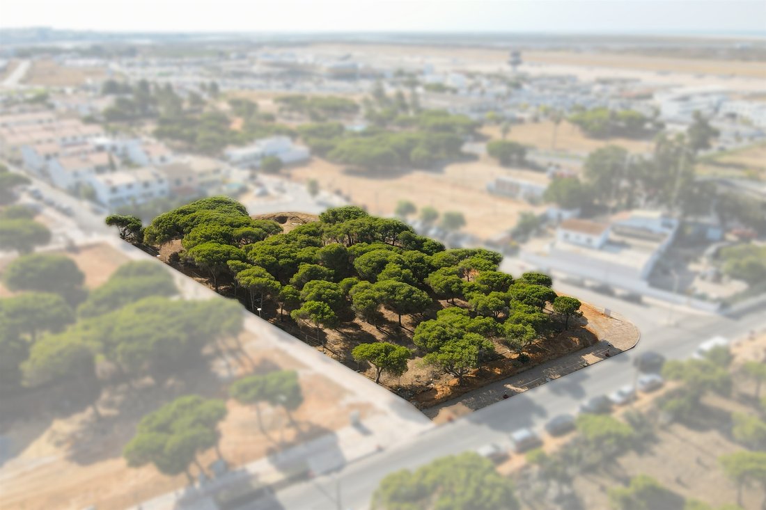 Land in Faro (Se e Sao Pedro), Algarve, Portugal 2 - 13055681