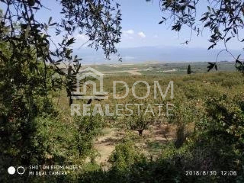 Land in Thermopylae Community, Lamia, Greece 3 - 13050658