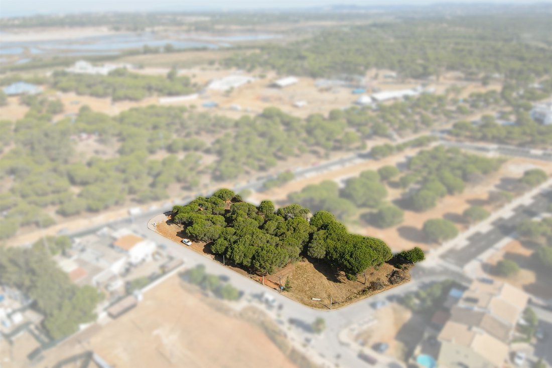 Land in Faro (Se e Sao Pedro), Algarve, Portugal 5 - 13055681