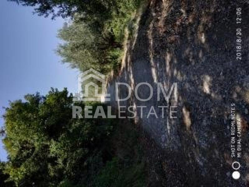 Land in Thermopylae Community, Lamia, Greece 4 - 13050658
