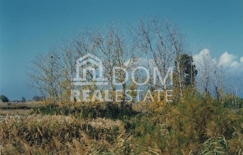 Land in Koinotita Kainourgiou, Kamena Vourla, Greece 5 - 13050868