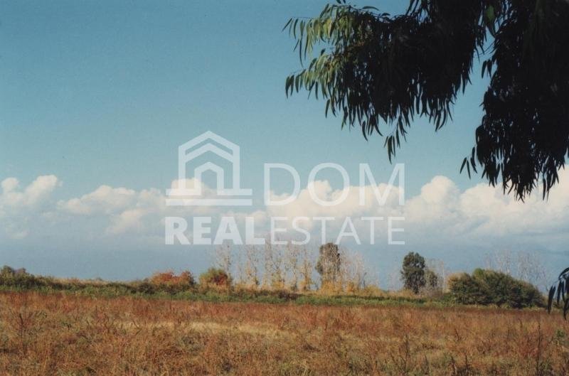 Land in Koinotita Kainourgiou, Kamena Vourla, Greece 4 - 13050868