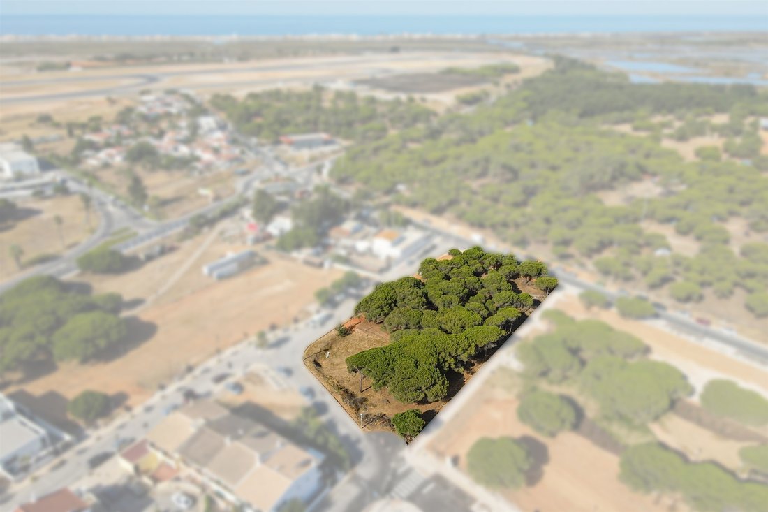 Land in Faro (Se e Sao Pedro), Algarve, Portugal 4 - 13055681