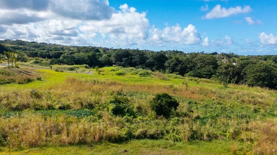 Bel Ombre Land With Sea View Of In Bel Ombre, Savanne District, Mauritius For Sale (12619523)