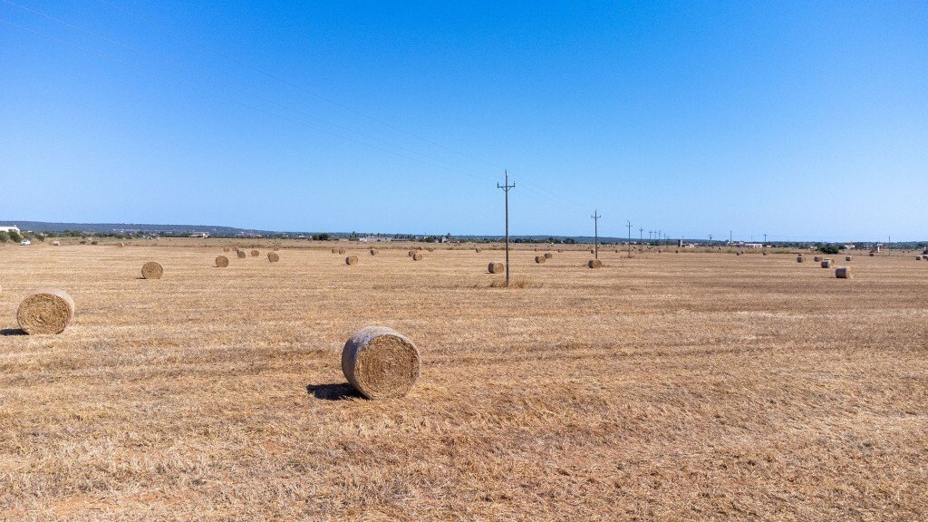 Farm Ranch in Campos, Balearic Islands, Spain 5 - 13057555