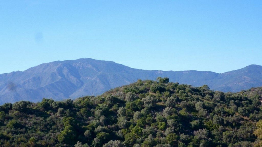 Land in Gualdalmansa, Estepona, Andalusia 5 - 13036353