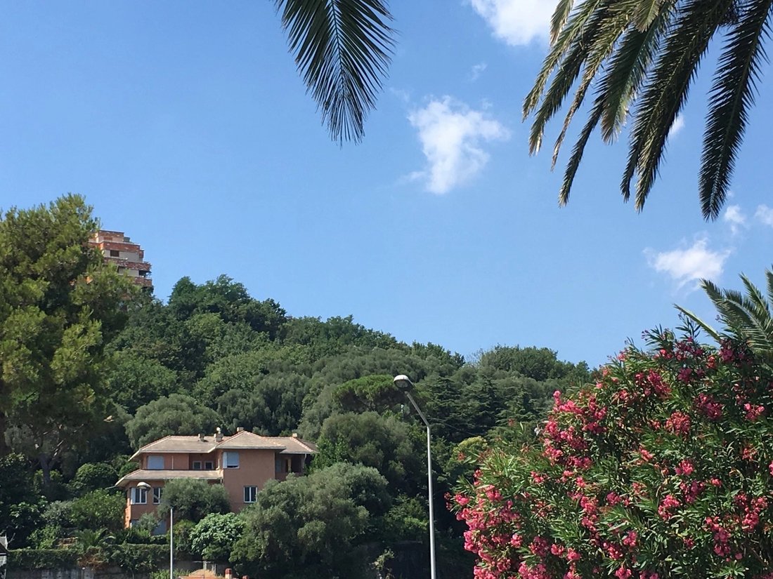 Villa in Arenzano, Liguria, Italy 3 - 11329271